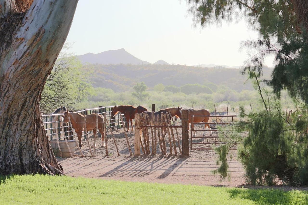 Отель Kay El Bar Guest Ranch Уикенберг Экстерьер фото